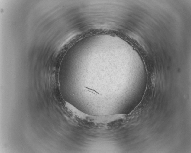 X0000087360968200705041851