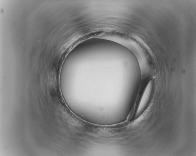 X0000087360969200705041851