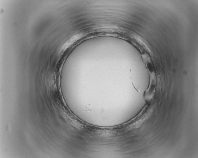 X0000087360970200705041851