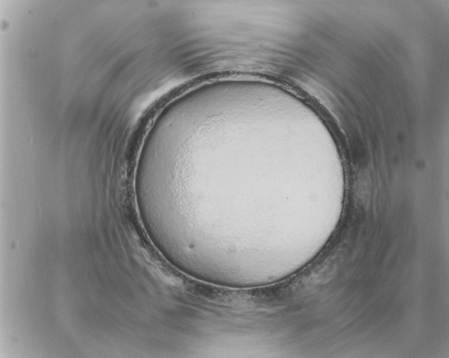 X0000087360971200705041851