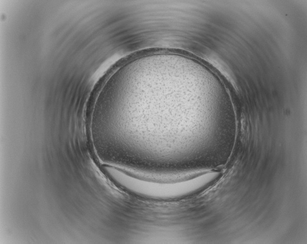 X0000087360972200705041851