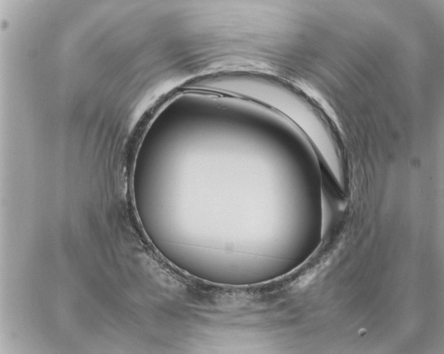 X0000087360973200705041851