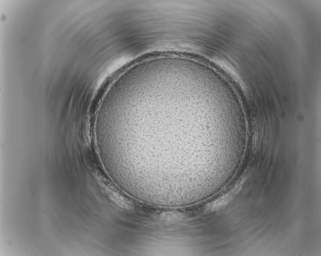 X0000087360974200705041851