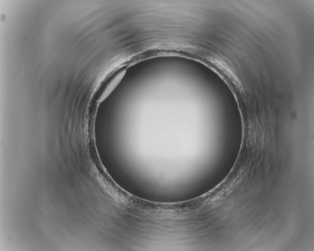 X0000087360976200705041851