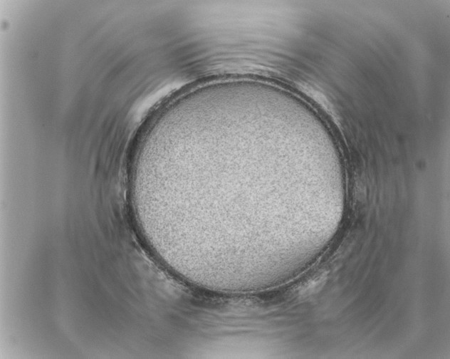 X0000087360979200705041851