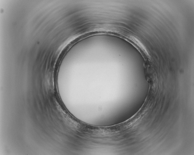 X0000087360980200705041851