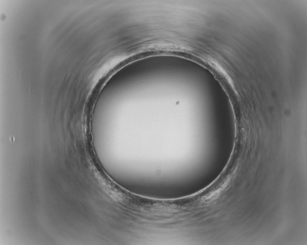 X0000087360981200705041851