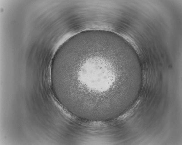 X0000087360982200705041851