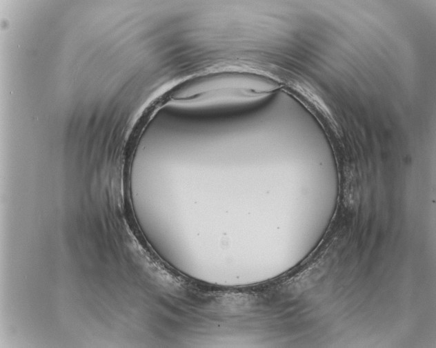 X0000087360984200705041851