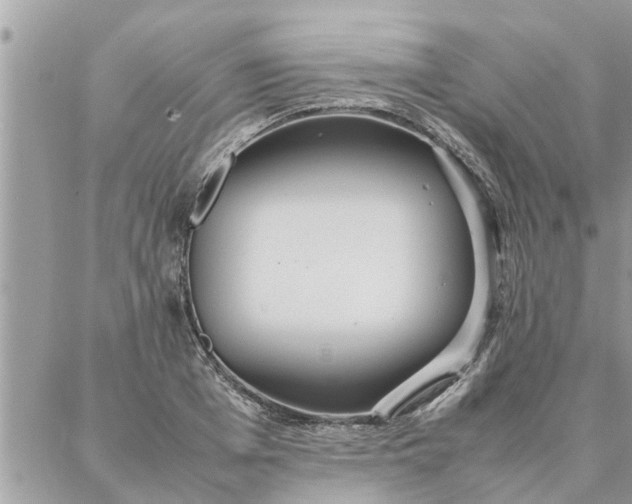 X0000087360985200705041851