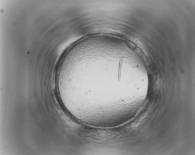 X0000087360987200705041851