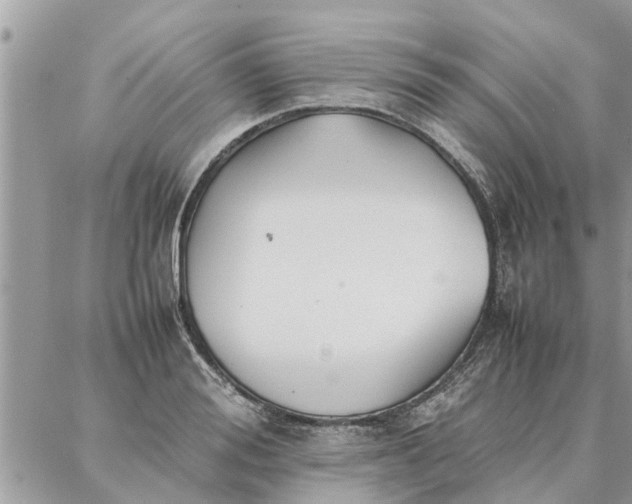 X0000087360988200705041851