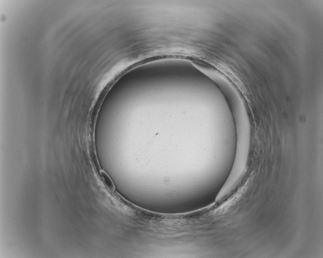 X0000087360989200705041851