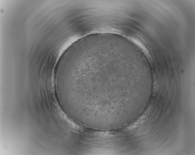 X0000087360990200705041851