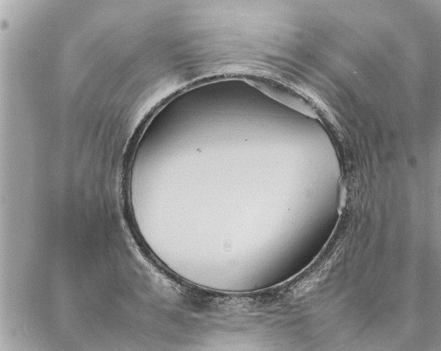 X0000087360991200705041851