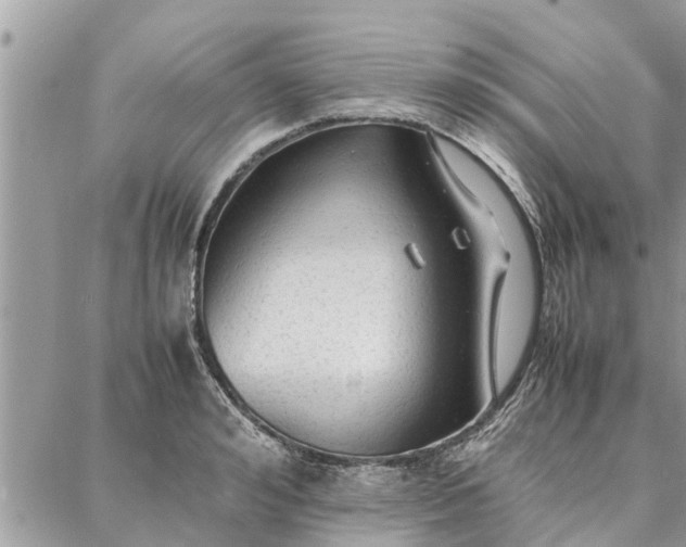 X0000087360992200705041851