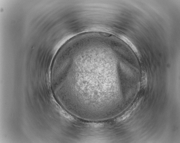 X0000087360996200705041850