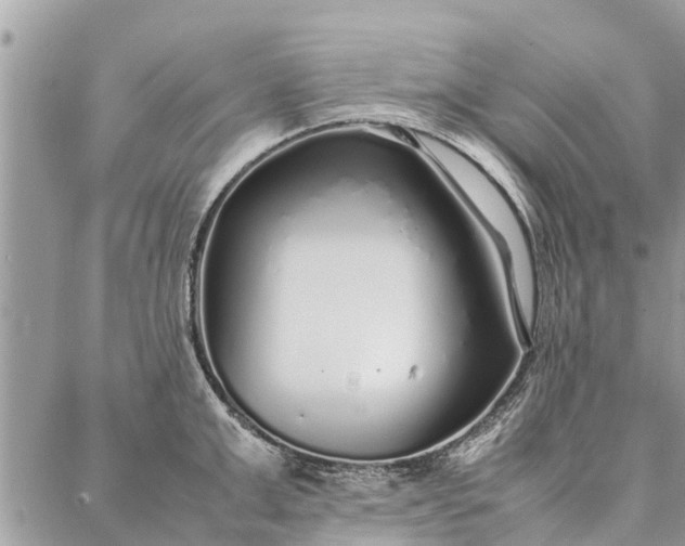 X0000087360999200705041850