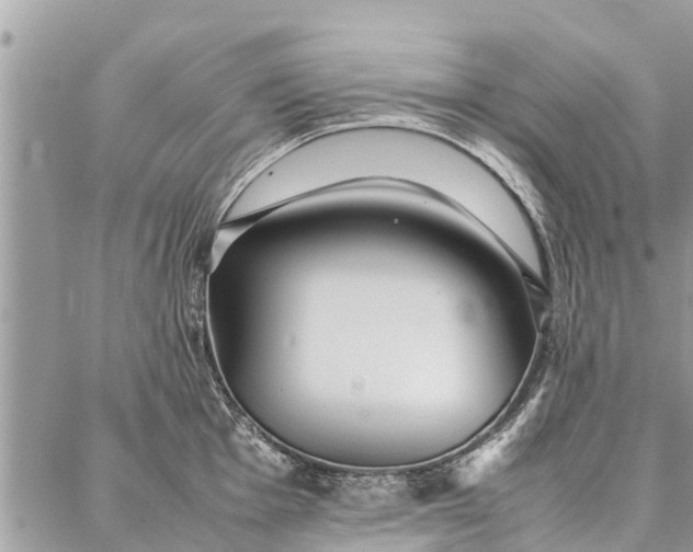 X0000087361001200705041850