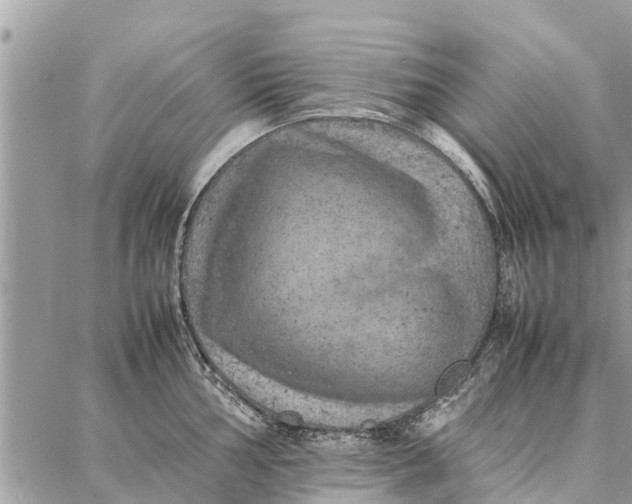 X0000087361002200705041850