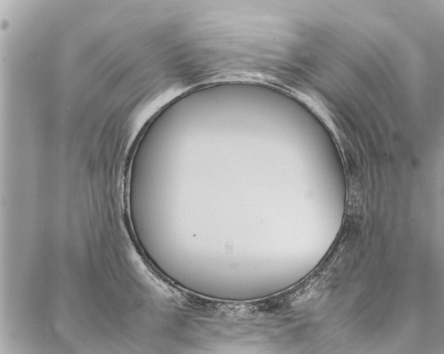 X0000087361003200705041850