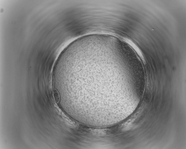 X0000087361004200705041850