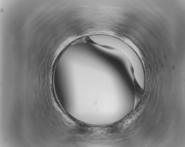 X0000087361005200705041850