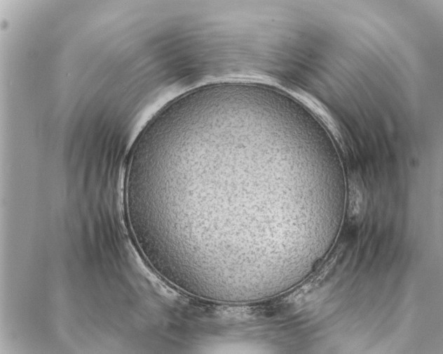 X0000087361006200705041850