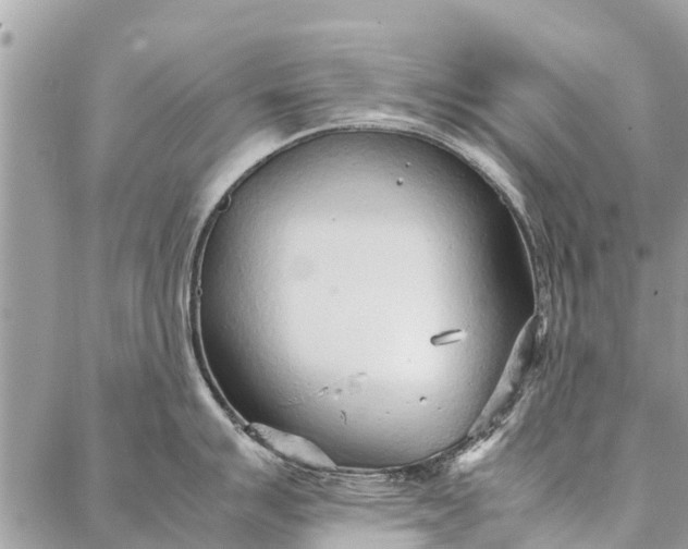 X0000087361007200705041850