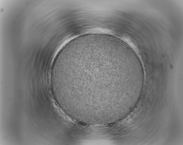 X0000087361008200705041850