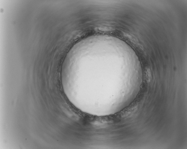 X0000087361009200705041850