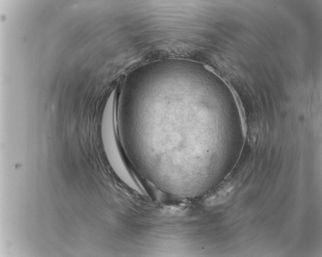 X0000087361010200705041850