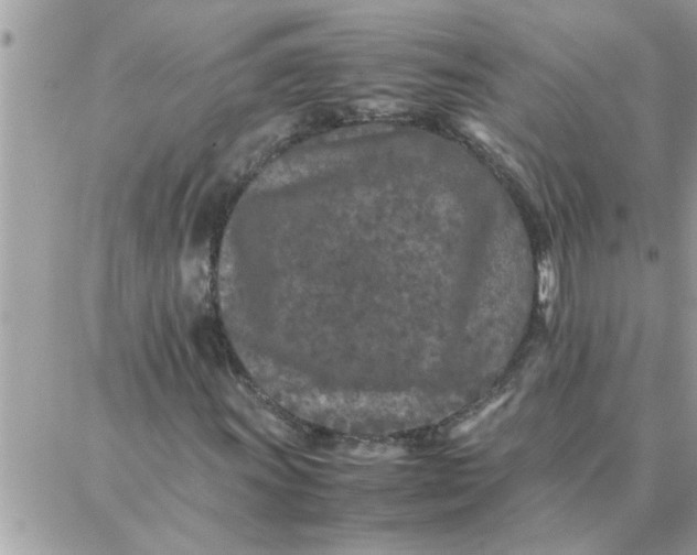 X0000087361011200705041850