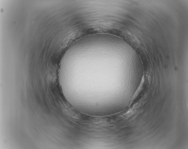 X0000087361012200705041850