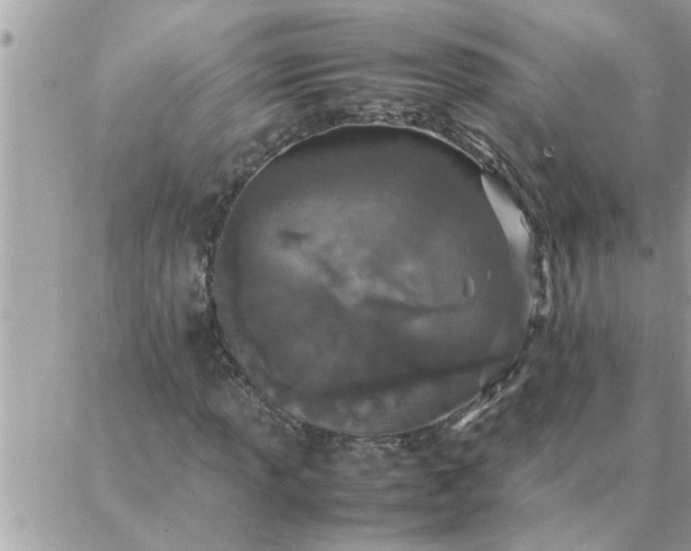 X0000087361013200705041850