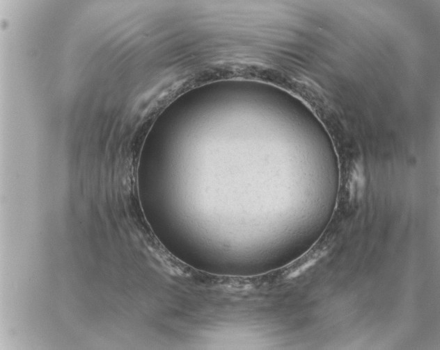 X0000087361014200705041850