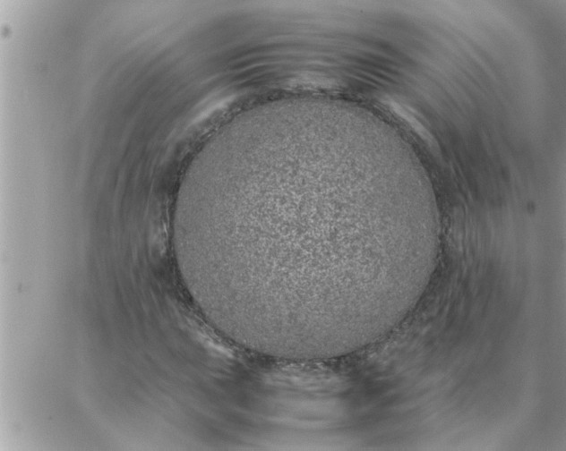 X0000087361015200705041850