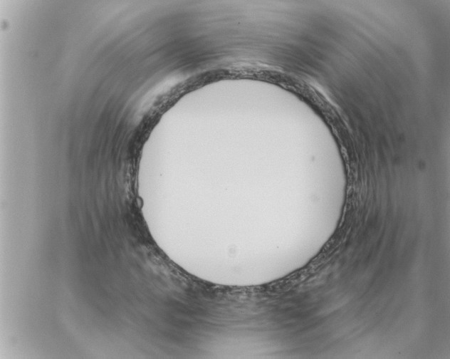 X0000087361016200705041850