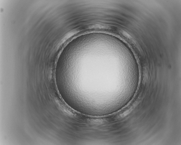 X0000087361017200705041850