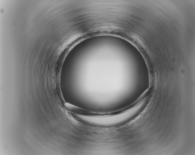 X0000087361018200705041850