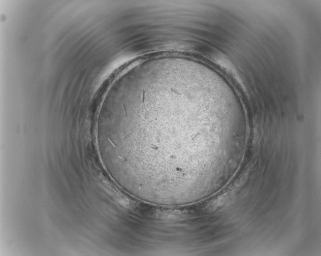 X0000087361019200705041850