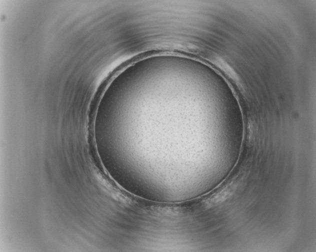 X0000087361020200705041850