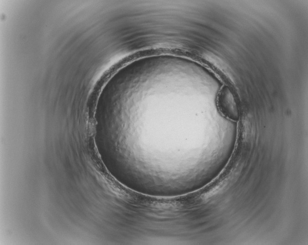 X0000087361021200705041850