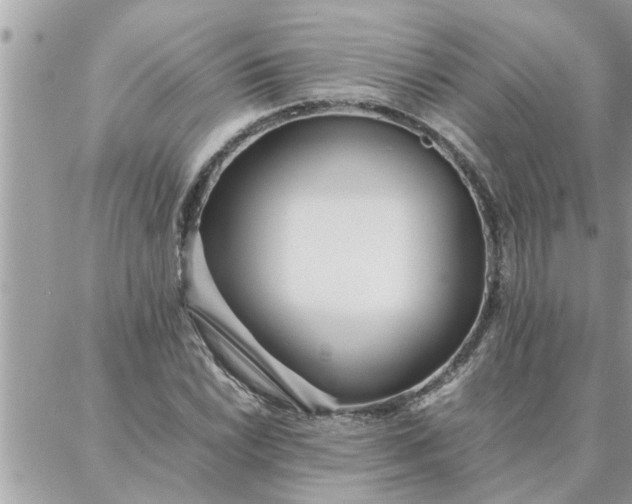 X0000087361022200705041850