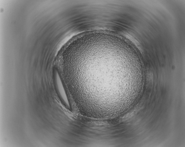 X0000087361023200705041850