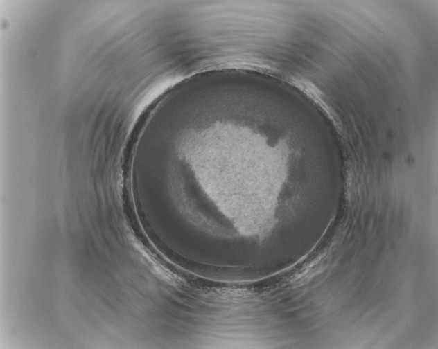 X0000087361024200705041850