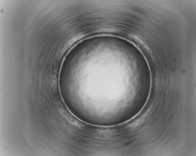 X0000087361025200705041850