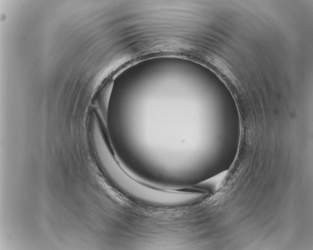 X0000087361026200705041850