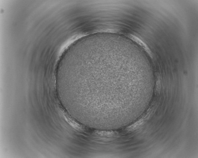 X0000087361027200705041850