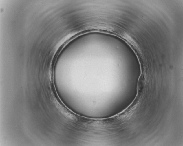 X0000087361028200705041850